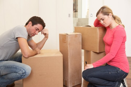 Efficient man and van team transporting household items